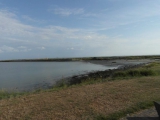 sam_0308