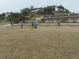 sam_0341