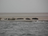 sam_0351