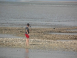 sam_0357