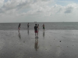 sam_0362