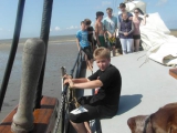 sam_0384
