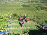 bild08