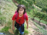 bild11