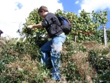 bild12