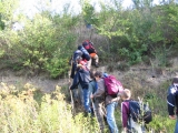 bild15