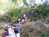 bild16