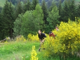 bild14