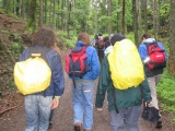 bild18