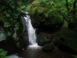 bild05