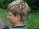 bild19