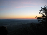 bild19