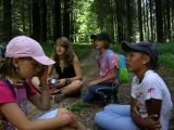 bild_15