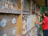bild06