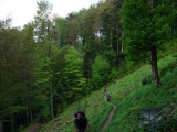 dsc03331-kopie