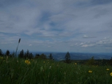 dsc03352-kopie