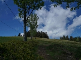 dsc03492-kopie