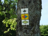 dsc03537-kopie